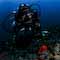 underwater Photographer